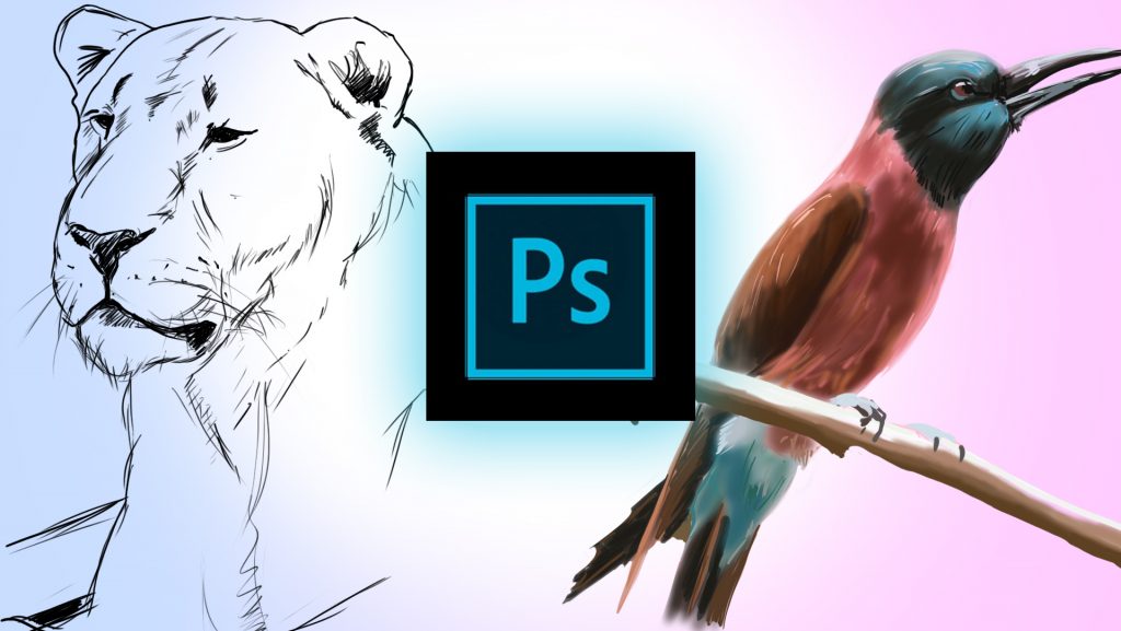 Art Skills Online